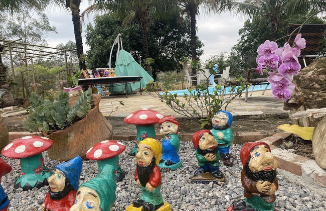 Recanto das Orquídeas Hospedagem. - Foto 35