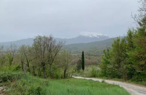 Casa Luciana - Foto 16