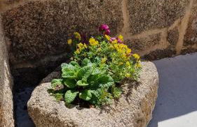 Casa da Penela - Foto 13