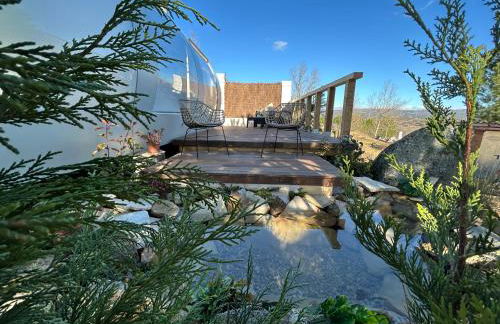 SKD Casa Amarilla Suite Rivera - Photo 16