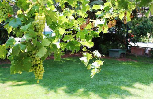 CasaBlueLive - Foto 14