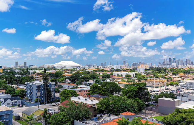 New 3 Bed 2 Bath In The Little Havana - Photo 24
