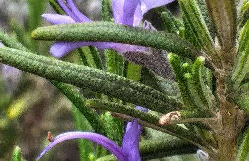 Podere La Vigna Locazione Turistica - Photo 36