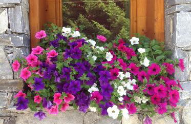 Chalet Beausoleil 4 étoiles - jacuzzi - au pied des pistes - domaine les sybelles - Photo 48