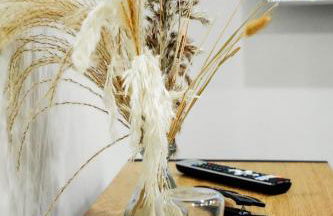 Vagabondo in Corte - Foto 29