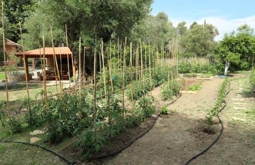 Villa Magia - Photo 41