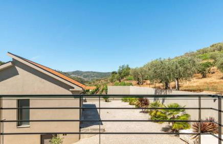 Valadouro Amazing Villa in Douro Valley - Pool - Foto 14