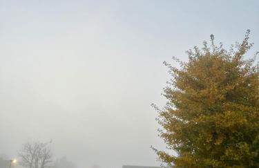 Ferienwohnung Ostseefeuer - Foto 57