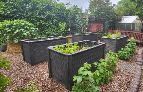 Ferienwohnung Lindenhof, zentrumsnah mit Terrasse und Grillmöglichkeit - Foto 4