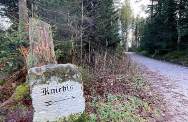 Ferienwohnung in Freudenstadt-Kniebis II - Foto 28