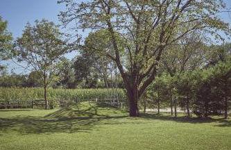 AQVAE Unconventional Country House - Foto 87