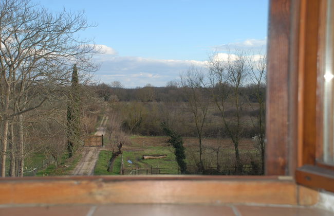 Agriturismo Podere Conte Ràcani - Foto 42