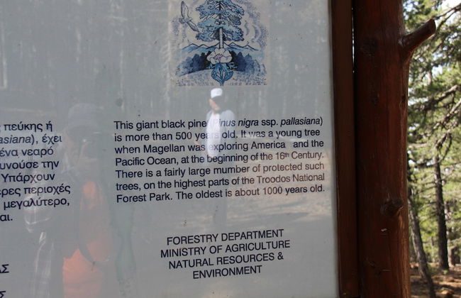 Tzionis Petroktisto Holiday Stonehouse - Photo 41