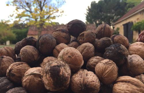 Domaine de Manilau - Foto 16