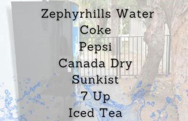 Pier Walk on Deerfield Beach Island - Photo 26