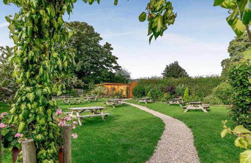 Pansi - Uk40263 - Photo 16