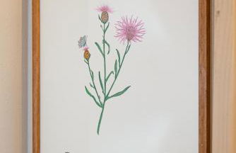 Agriturismo La Costa - Photo 40