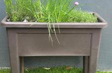 La Cabane des salines proche mer - Foto 37