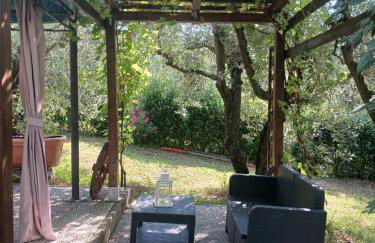 Appartamenti Leccino e Moraiolo - Foto 17