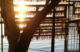 Appartamento Bella Isola - Foto 17