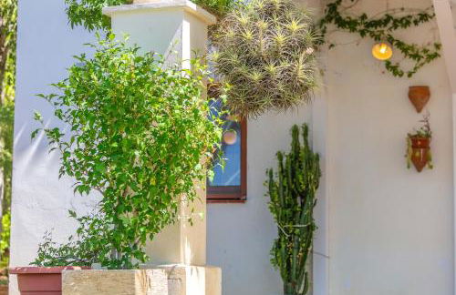 Sunny Bird House Bolonia - Foto 75