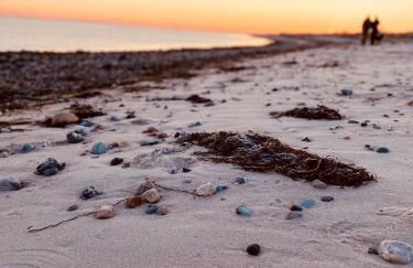 Holzhütte Ole zw. Meer & Wald mit Kamin & Sauna - Foto 20