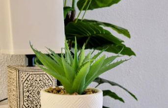 Torrevieja Seaside Escape - Foto 16