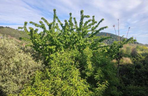 Cozy Mountain View - Foto 17