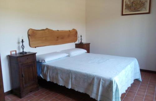 L'Albero degli Struzzi - Foto 26