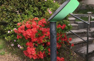 Villa Anna - Photo 8