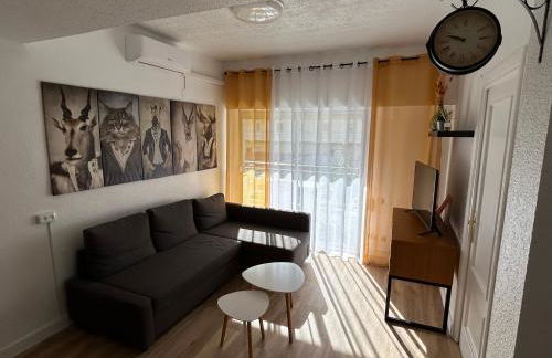 CARPE DIEM DAIMUS - Foto 5