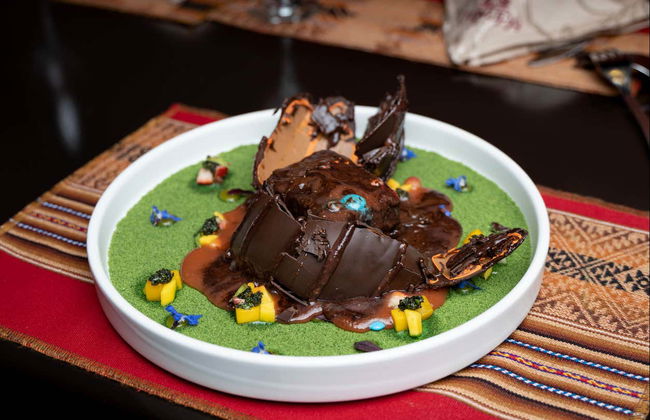 Lunch at Tunupa Restaurant - Photo 7