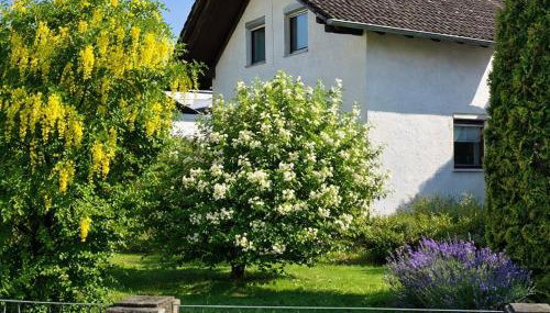 Zimmer, Apartment A3 - Foto 3