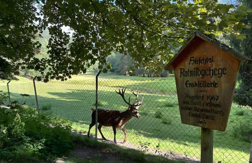 Schwarzwaldhaus Zwink - Photo 12