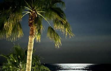 Beachfront, First line, 2-Bdr,2-Bath, Swiming Pool - Photo 14