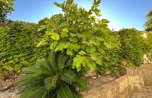 Playa Cotobro LA HIGUERA - Foto 20