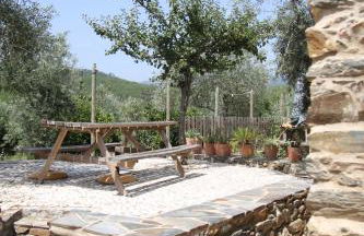 Aldeia Oliveiras - Foto 15