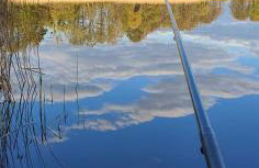 Malanówka 1 - Foto 28