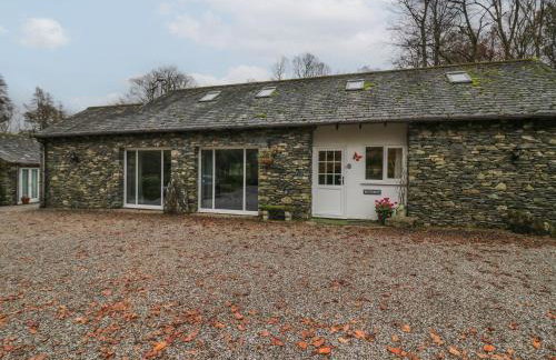 Low Jock Scar - Foto 41