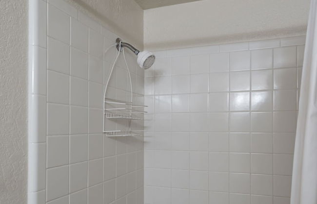 Alto Pines - Foto 21