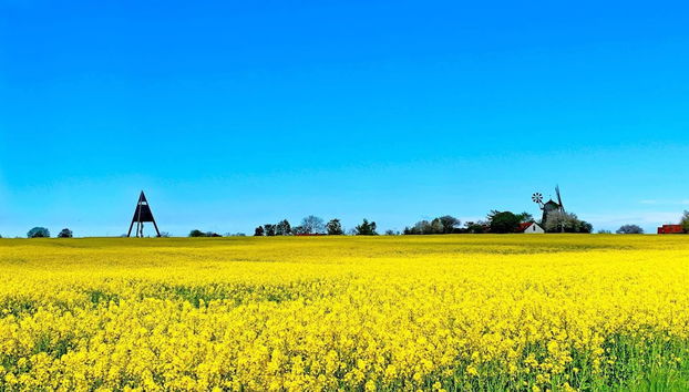 6 Person Holiday Home in Svaneke - Foto 4, Varie