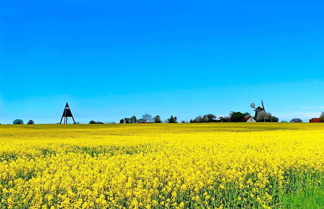 6 Person Holiday Home in Svaneke - Foto 4