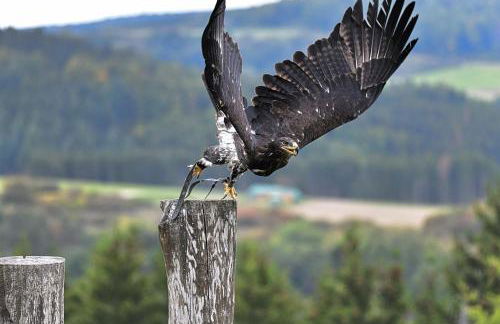Haus Johannes - Foto 24