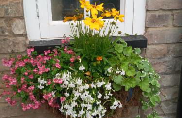 Delighful self catering in the heart of Glastonbury - Photo 7