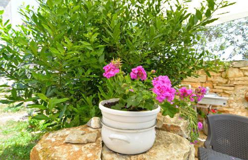 Apartment Senada 1503 - Foto 8