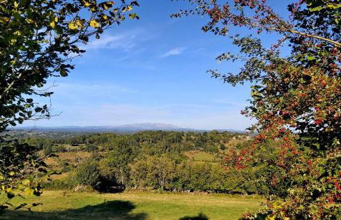 APPART HOTEL Place des Jolis Rêves - Foto 59