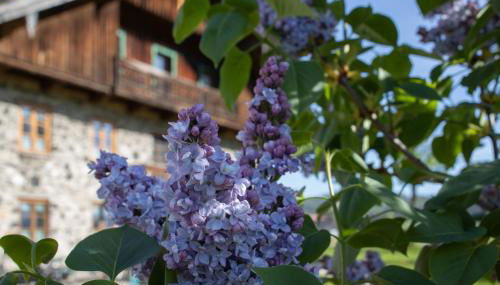 Ferienwohnung Nagerlhof - Foto 4