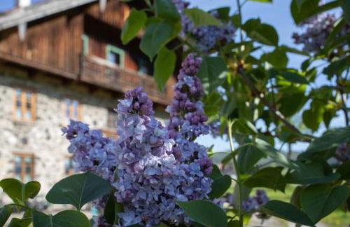 Ferienwohnung Nagerlhof - Foto 4