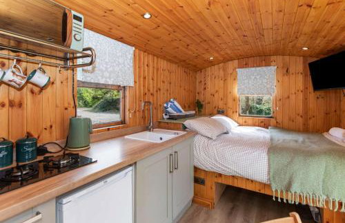 Shepherds Hut with Hot Tub - Foto 5