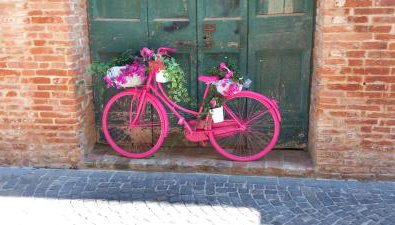 Angolo Della cei - Foto 2